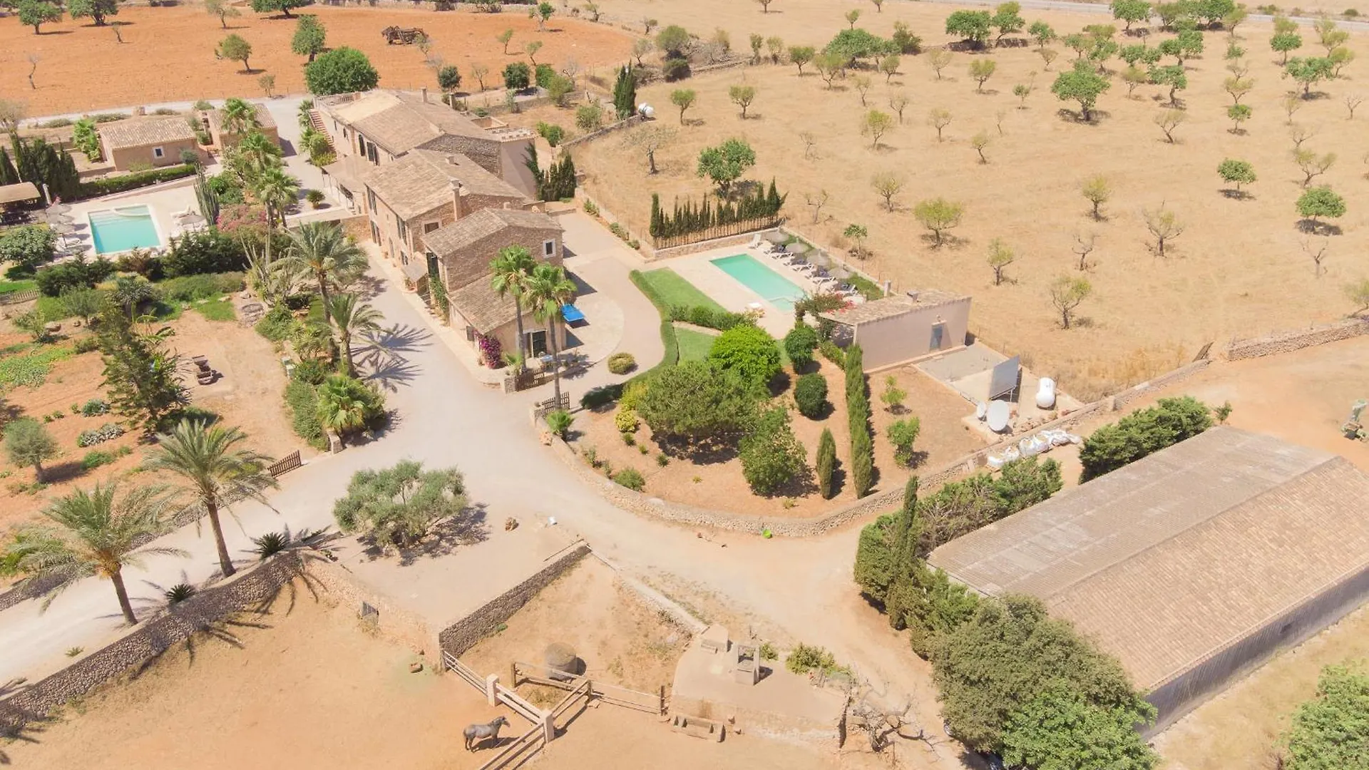 Finca Sonduri Portopetro