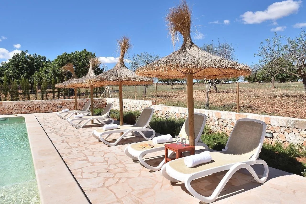 Holiday home Finca Sonduri Porto Petro