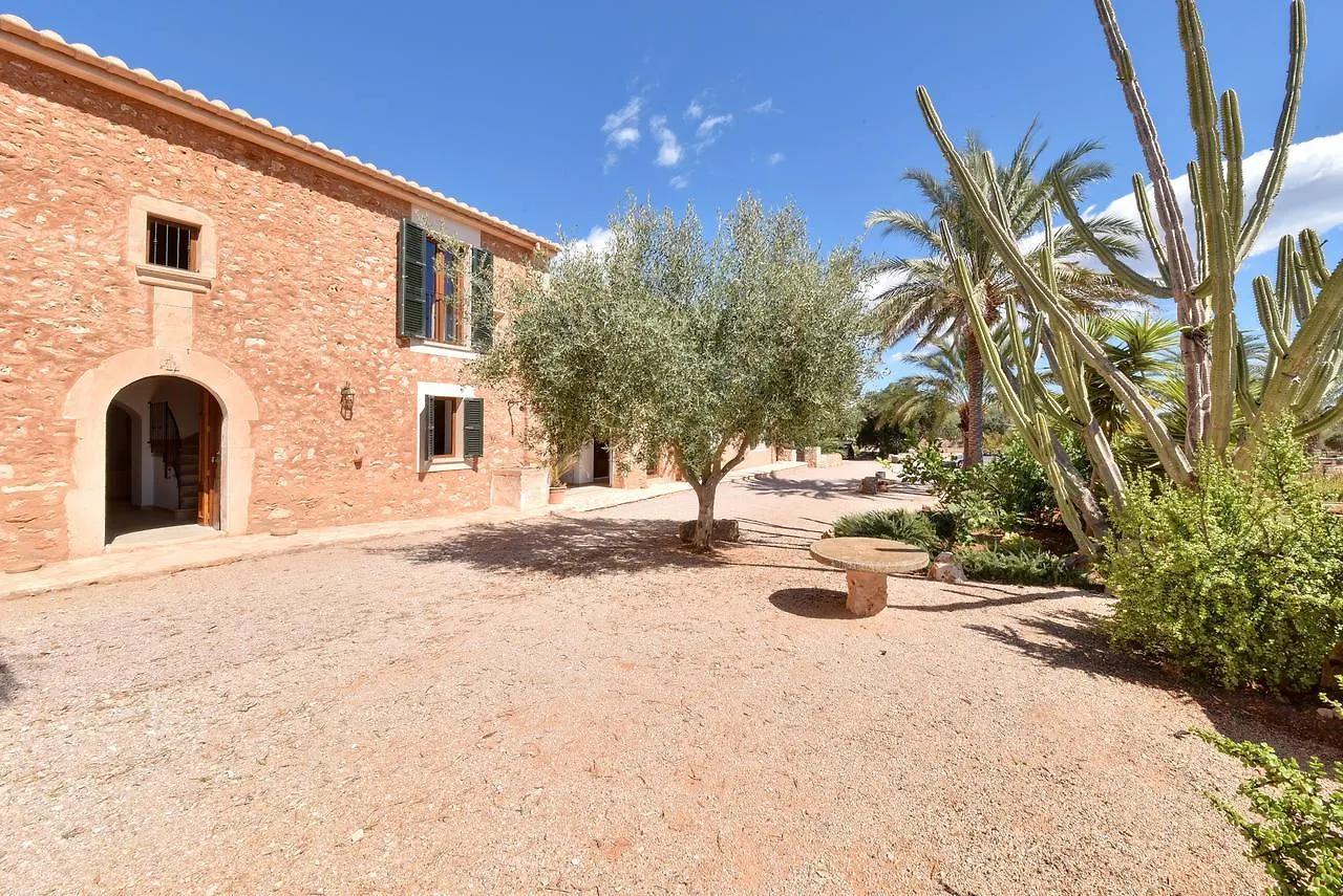 Finca Sonduri Porto Petro  Holiday home