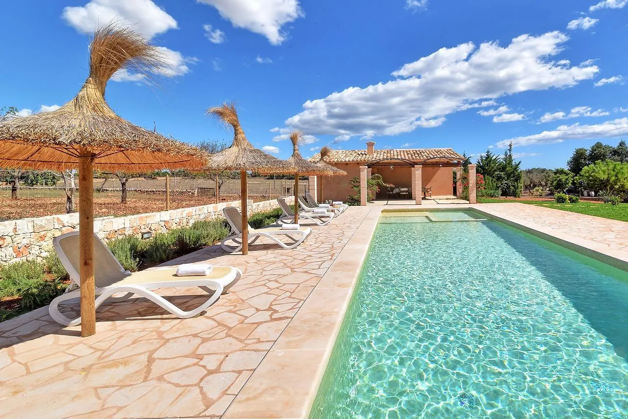 Finca Sonduri Porto Petro  Spain